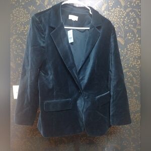 NEW LOFT Blue Velvet Blazer